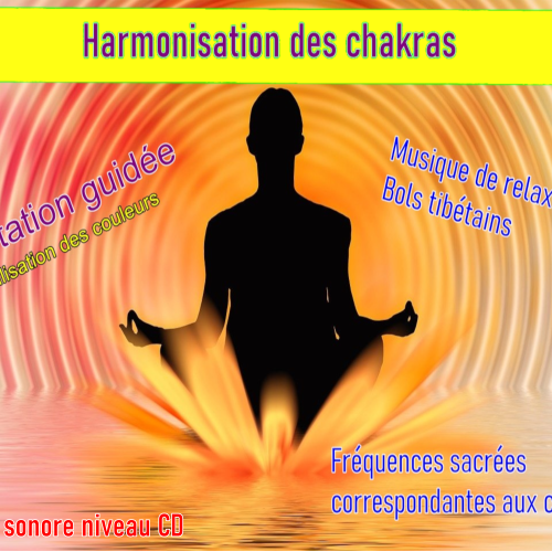 Meditation d'harmonisation des chakras - bols tibétains et sons de fréquences sacrées.